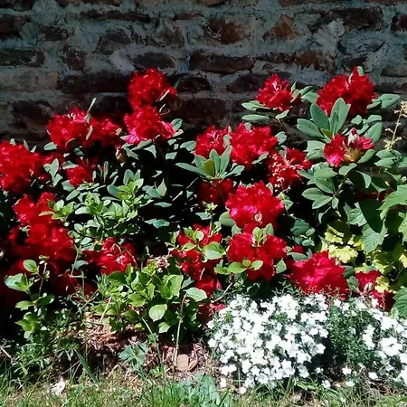 Holiday home Le 46 Saint-Sauver-la-Sagne