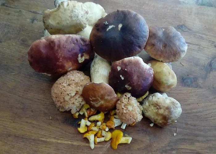 Hébergement de vacances Le 46 *